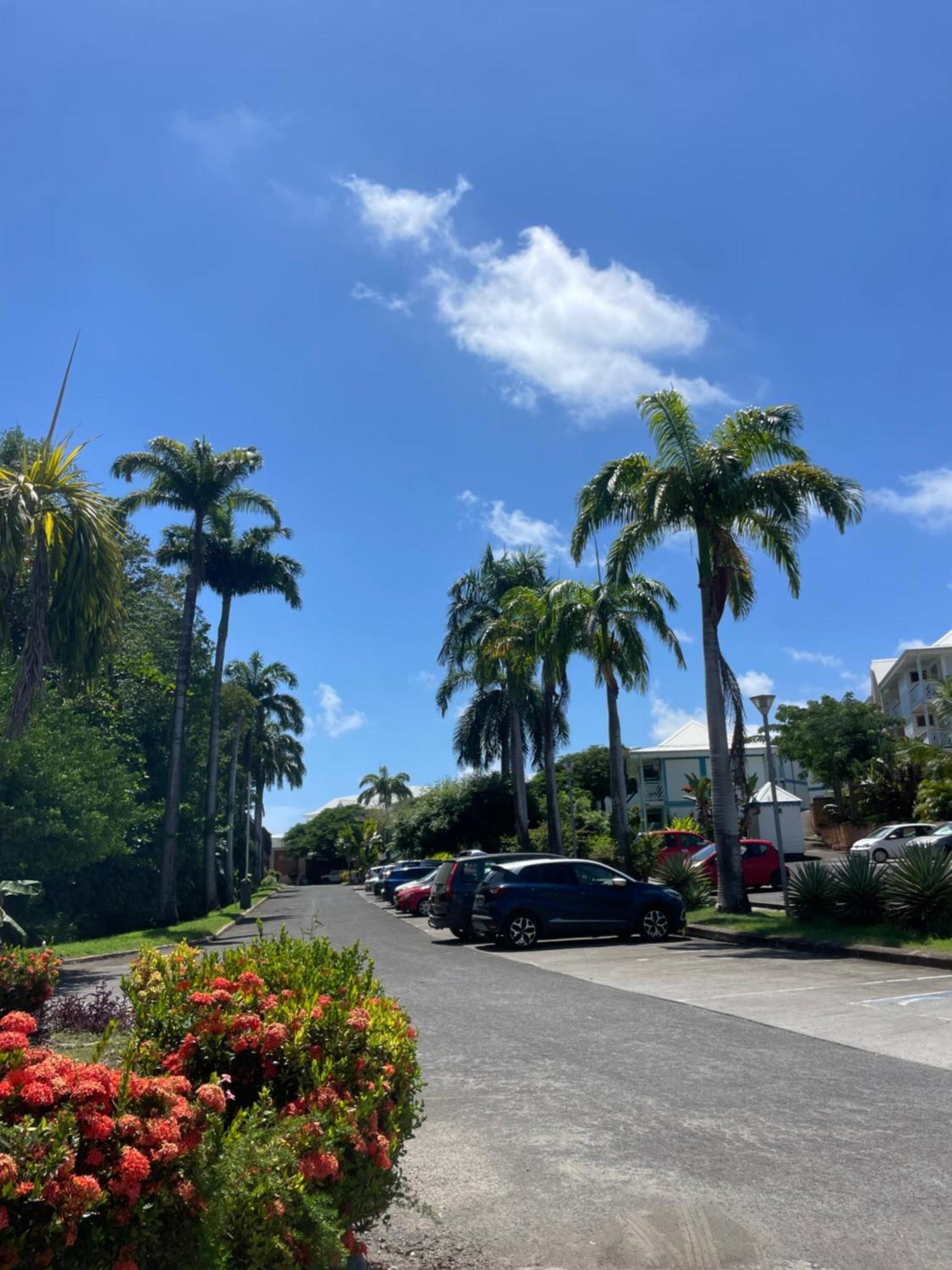 Le Catelya - Residence Manganao Saint-Francois (Grande-Terre) Exterior foto